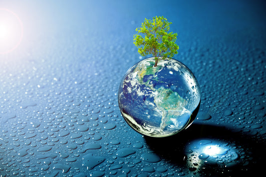 Celebrate Earth Day today and every day!